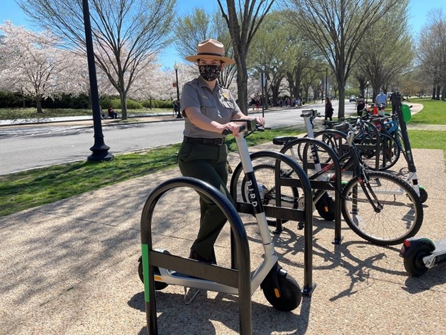 Are Electric Scooters Allowed in National Parks